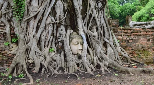 ワットマハタート｜Wat Mahathat